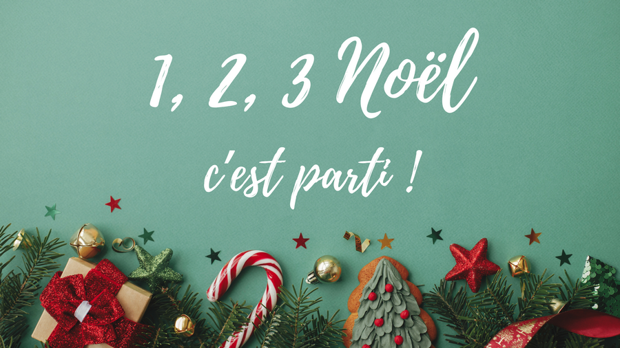 Promotions de noël Pic et Point