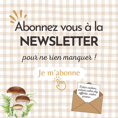 Newsletter pic et point